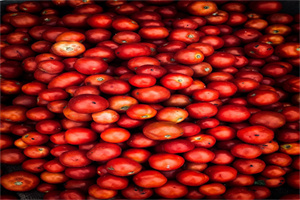 信陽師范學(xué)院學(xué)費(fèi)