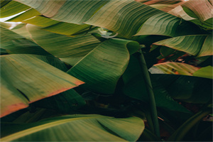 湖南中專幾年畢業(yè)