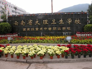 大理衛(wèi)生學(xué)校|大理衛(wèi)校
