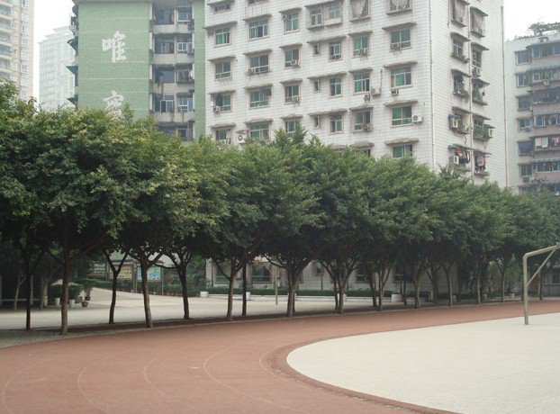 重慶市珊瑚中學(xué)圖片