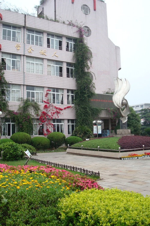 溫州市鰲江實(shí)驗(yàn)小學(xué)圖片