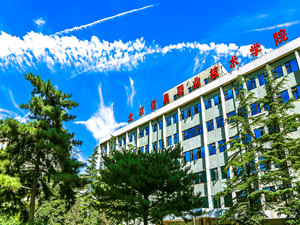 北京信息職業(yè)技術(shù)學(xué)院