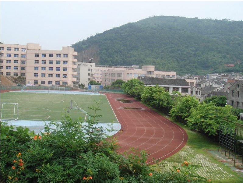 溫州市平陽(yáng)縣中心小學(xué)