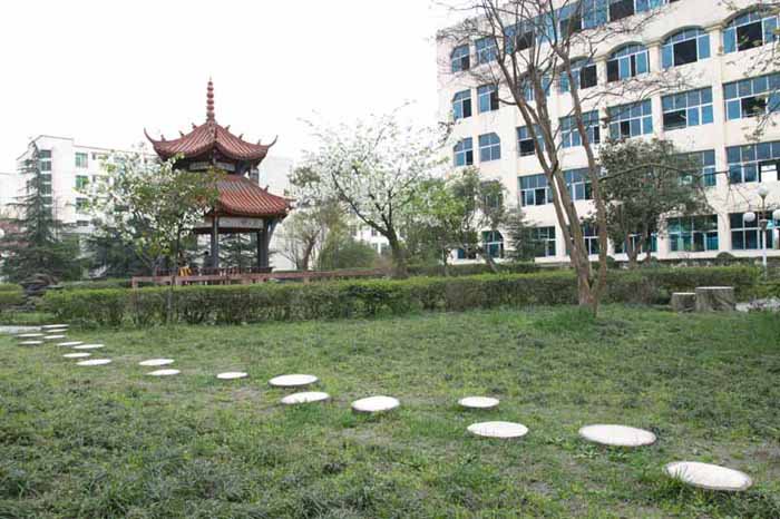 成都市都江堰外國語實驗學校圖片