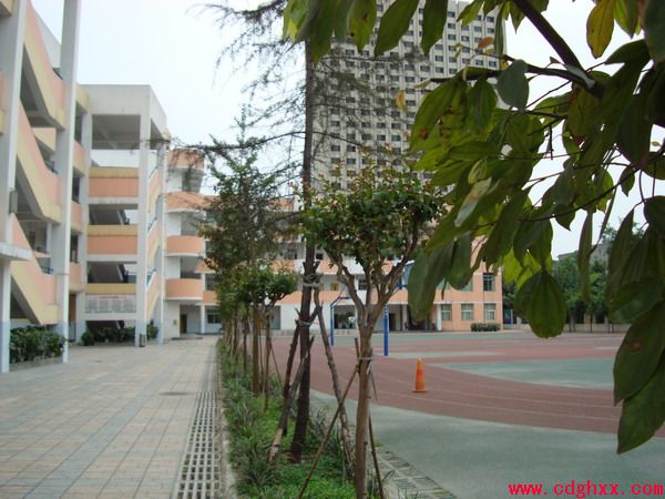 成都市光華小學(xué)圖片