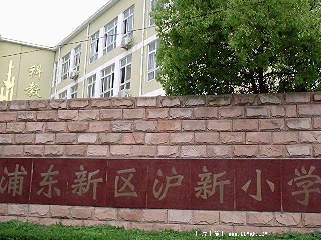 上海市浦東新區(qū)滬新小學(xué)圖片