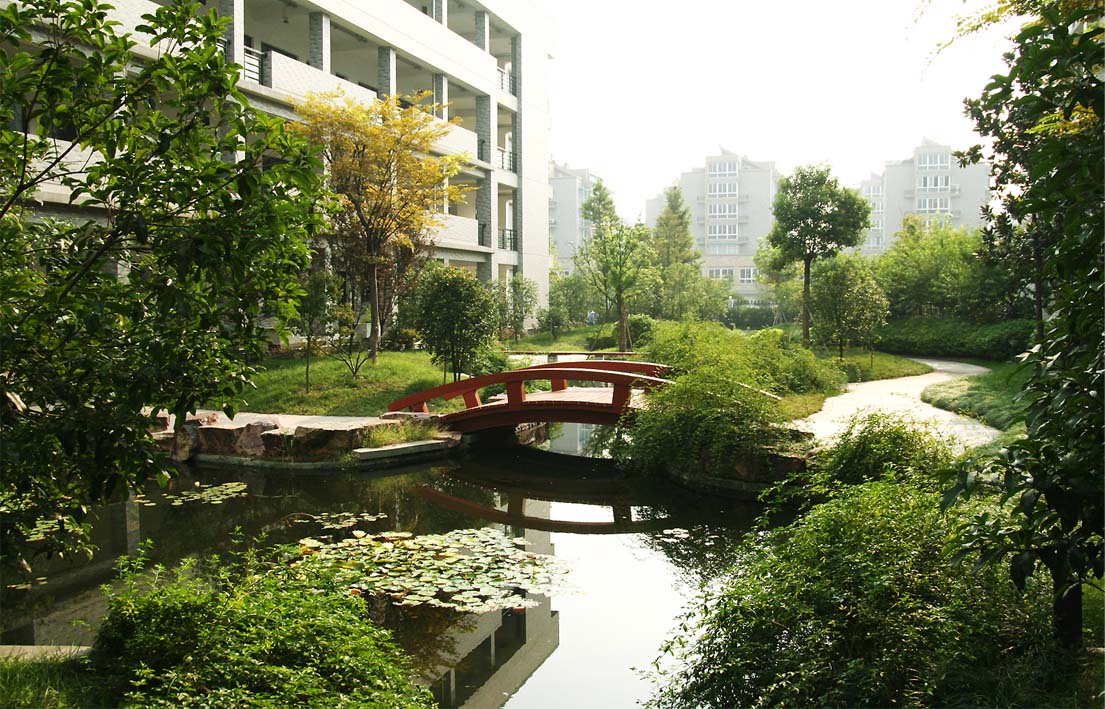 杭州市第四中學(xué)下沙校區(qū)圖片