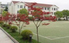 上海市楊浦區(qū)二聯(lián)小學(xué)圖片