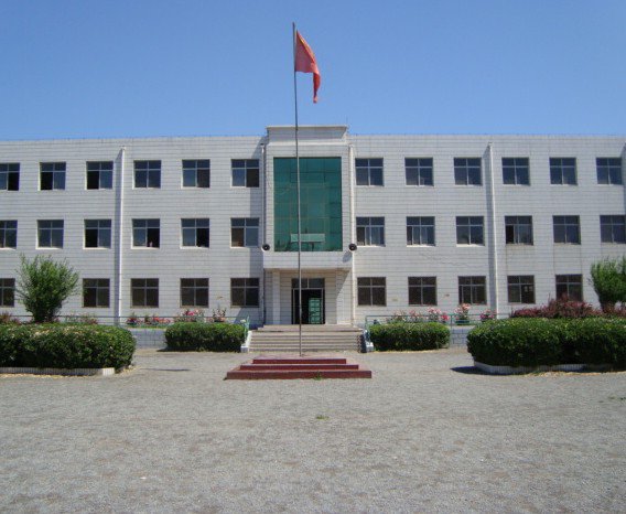 天津市寶坻區(qū)高家莊鎮(zhèn)第二中心小學(xué)圖片