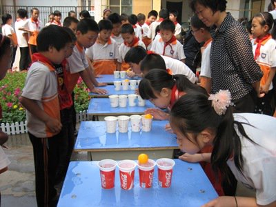 石家莊市東三教小學(xué)