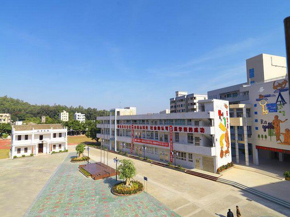 深圳市寶安區(qū)德風(fēng)小學(xué)圖片