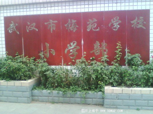 武漢市梅苑學(xué)校小學(xué)部圖片