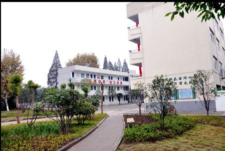 武漢市東西湖區(qū)友誼小學(xué)圖片