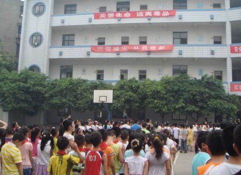 成都市青白江區(qū)實驗小學(xué)圖片
