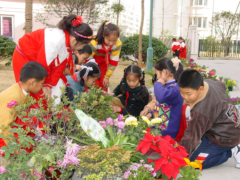 紹興市龍洲雙語實驗小學