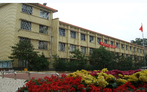 長(zhǎng)沙市岳麓區(qū)望岳中心小學(xué)圖片