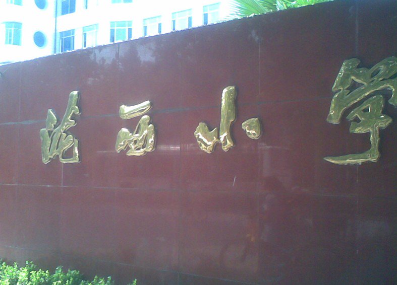 鄭州市隴西小學(xué)圖片