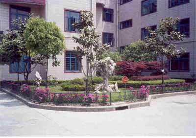 上海市寶山區(qū)行知小學圖片
