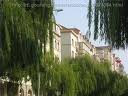 大連市五四路小學(xué)圖片