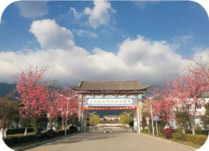 大理農(nóng)林職業(yè)技術(shù)學(xué)院圖片