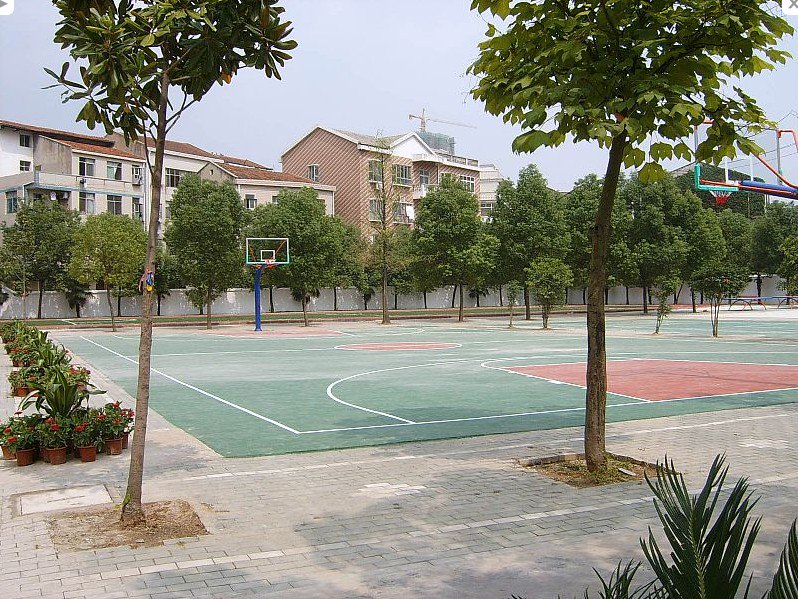 武漢市鐘家村實(shí)驗(yàn)小學(xué)