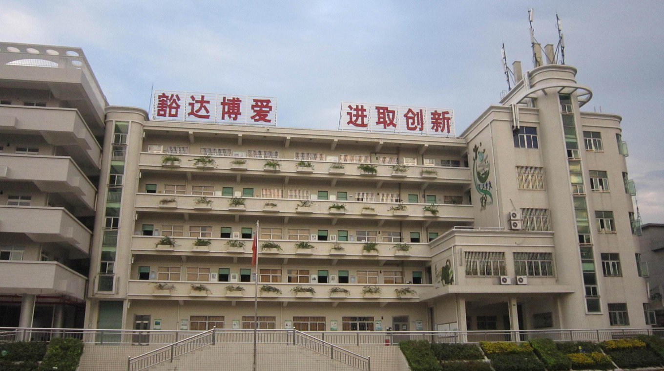 深圳市觀瀾街道廣培小學(xué)圖片