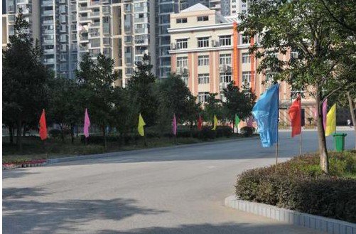 武漢市第十九中學(xué)圖片