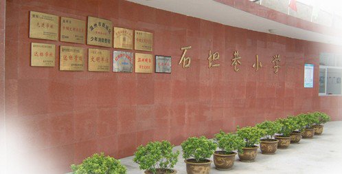 溫州市石坦巷小學(xué)圖片