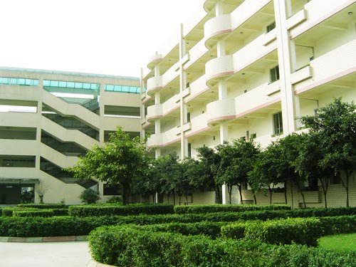 成都市晉陽小學(xué)圖片