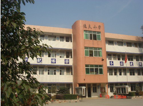 溫州市甌海區(qū)婁橋河莊小學圖片