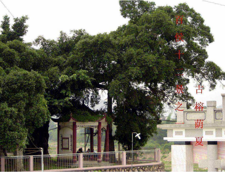 廣州省大埔縣百侯中學(xué)圖片
