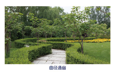 哈爾濱阿城區(qū)第一中學（阿城一中）圖片