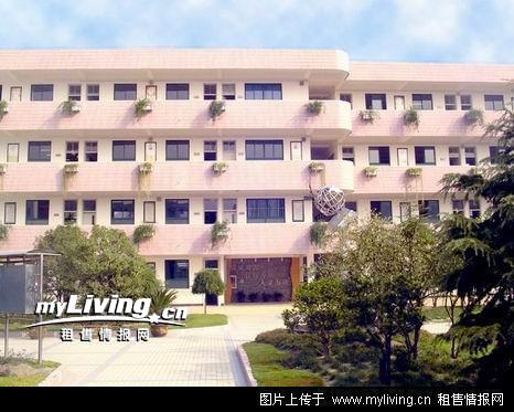 上海市普陀區(qū)楊家橋小學圖片