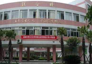 成都市青白江區(qū)大彎小學(xué)圖片