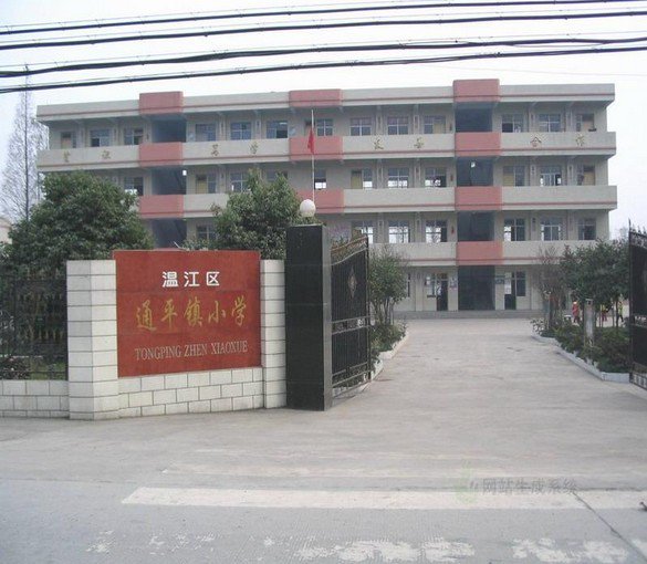 成都市溫江區(qū)通平小學(xué)圖片
