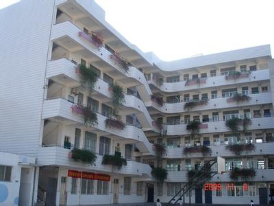 南寧市菠蘿嶺小學(xué)圖片