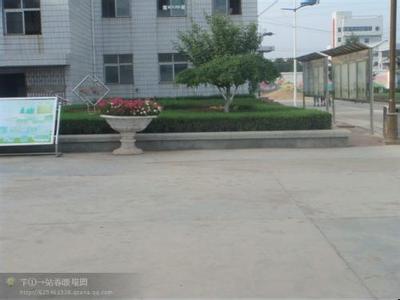 棗莊市山亭翼云中學圖片