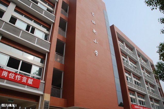 武漢市吉林街小學(xué)圖片