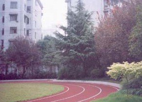 上海市徐匯區(qū)虹橋路小學(xué)圖片