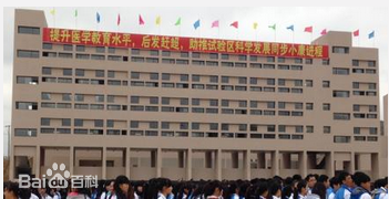 畢節(jié)醫(yī)學(xué)高等?？茖W(xué)校（畢節(jié)市衛(wèi)生學(xué)校）