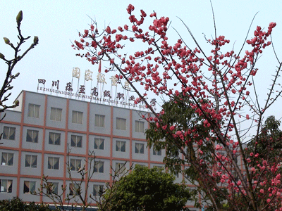 樂(lè)至縣高級(jí)職業(yè)中學(xué)圖片